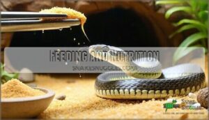 feeding and nutrition