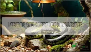 feeding and nutrition challenges