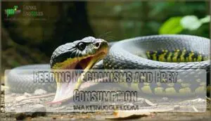 feeding mechanisms and prey consumption