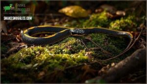 garter snake basics