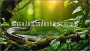 green anoles and house geckos