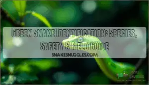 green snake identification