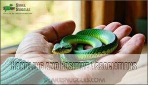 handling and positive associations