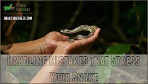 handling mistakes that stress your snake
