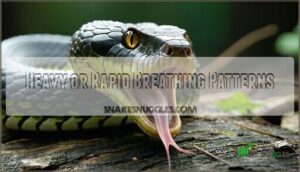 heavy or rapid breathing patterns