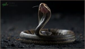 hissing and sudden striking