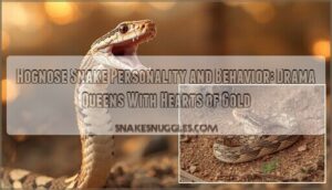 hognose snake personality and behavior hognose snake personality and behavior