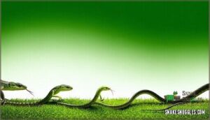 how did snakes evolve their body shape