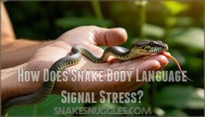 how does snake body language signal stress