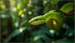 how often do snakes shed skin