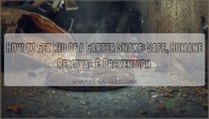 how to get rid of a garter snake how to get rid of a garter snake