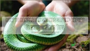 how to handle pet snakes