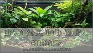 how to safely set up and care for plants