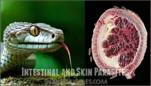 intestinal and skin parasites