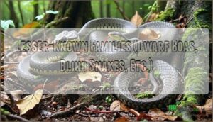 lesser-known families (dwarf boas, blind snakes, etc.)