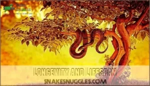 longevity and lifespan