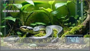 measuring basking and ambient temperatures