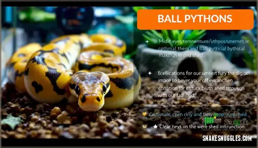 Image showcasing Common Snake Feeding Mistakes to Avoid: Expert Care Guide
