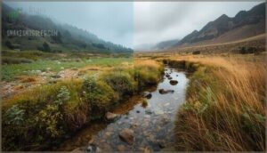 natural range and preferred habitats