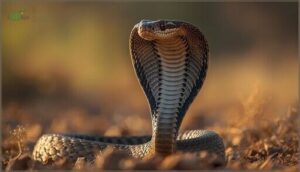 neck flattening and hissing neck flattening and hissing