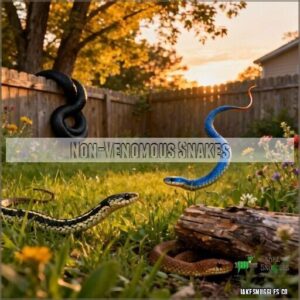 non-venomous snakes