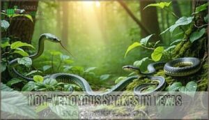 non-venomous snakes in texas