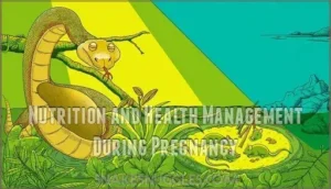 nutrition and health management during pregnancy