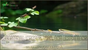 occasional insects, fish, and amphibians