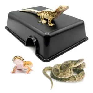 Pangea Reptile Hide Box (C B00UCDIBJ2