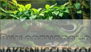 philodendrons