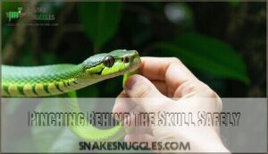 pinching behind the skull safely