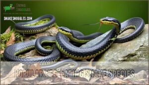 popular egg-eating snake species