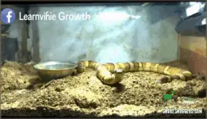 potential growth issues