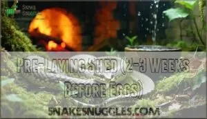 pre-laying shed (2-3 weeks before eggs) pre-laying shed (2-3 weeks before eggs)