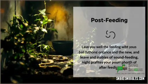 Handling a Snake After Feeding: Timing, Risks & Safe Techniques - Maintaining Snake Feeding Duty During Travel
