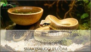 proper temperature for ball python digestion