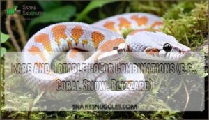 rare and notable color combinations (e.g., coral snow, blizzard)