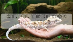 reptile handling for beginners