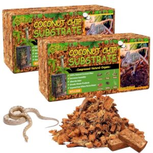 Riare 2 Pack Natural Coconut B0CH4J2N74