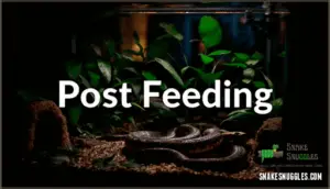 risks of handling snakes after feeding
