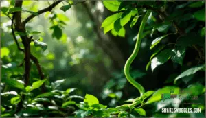 rough green snakes