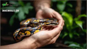 safe snake handling