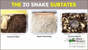 selecting the ideal substrate