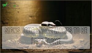 signs your snake wants to be left alone