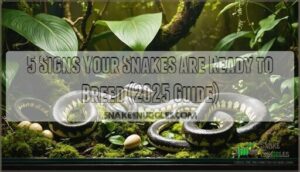signs your snakes are ready to breed