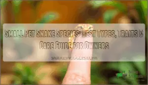 small pet snake species