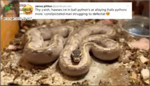 snake bloating causes