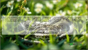 snakes that give live birth