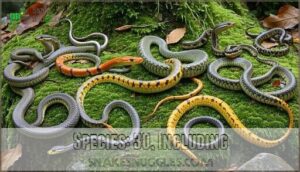 species: 30, including