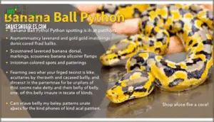 spotting and patterning